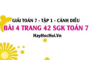 Giải bài 4 trang 42 Toán 7 Tập 1 SGK Cánh Diều
